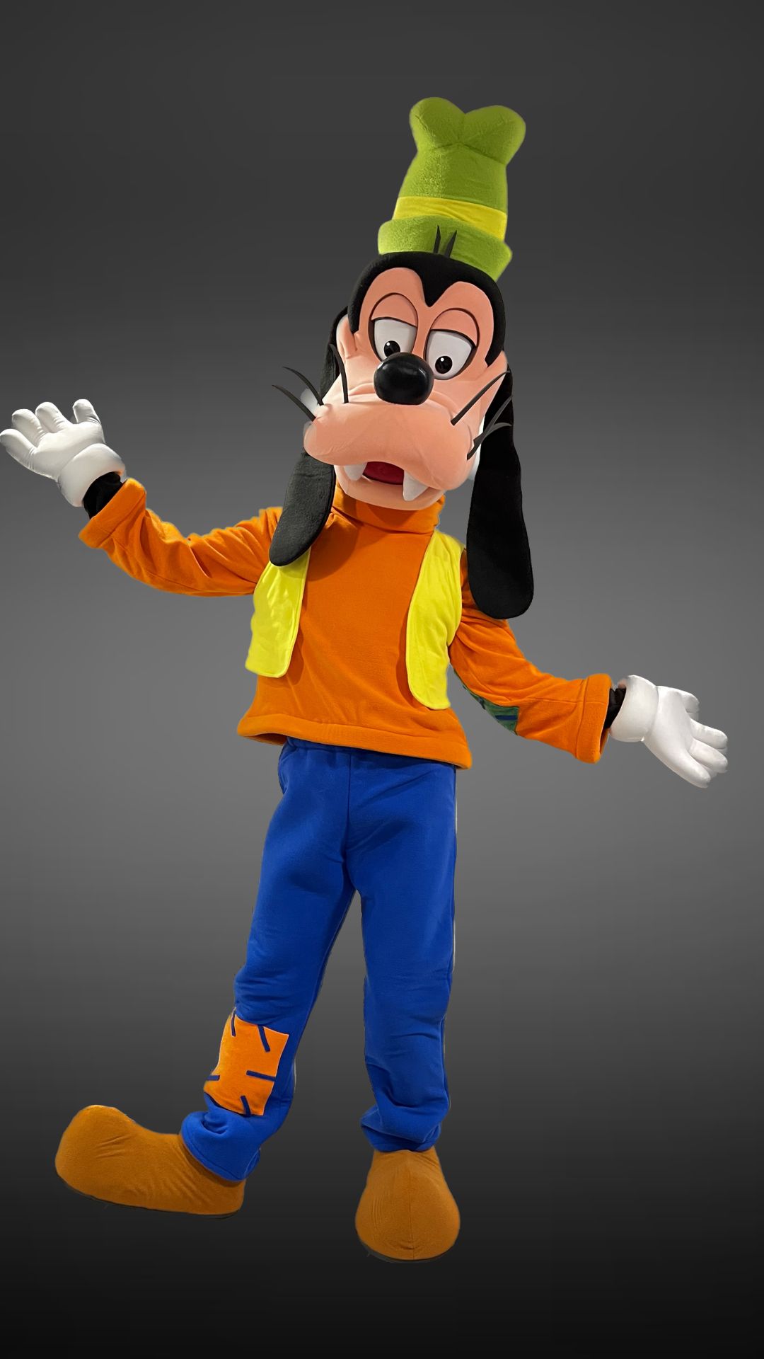 goofy