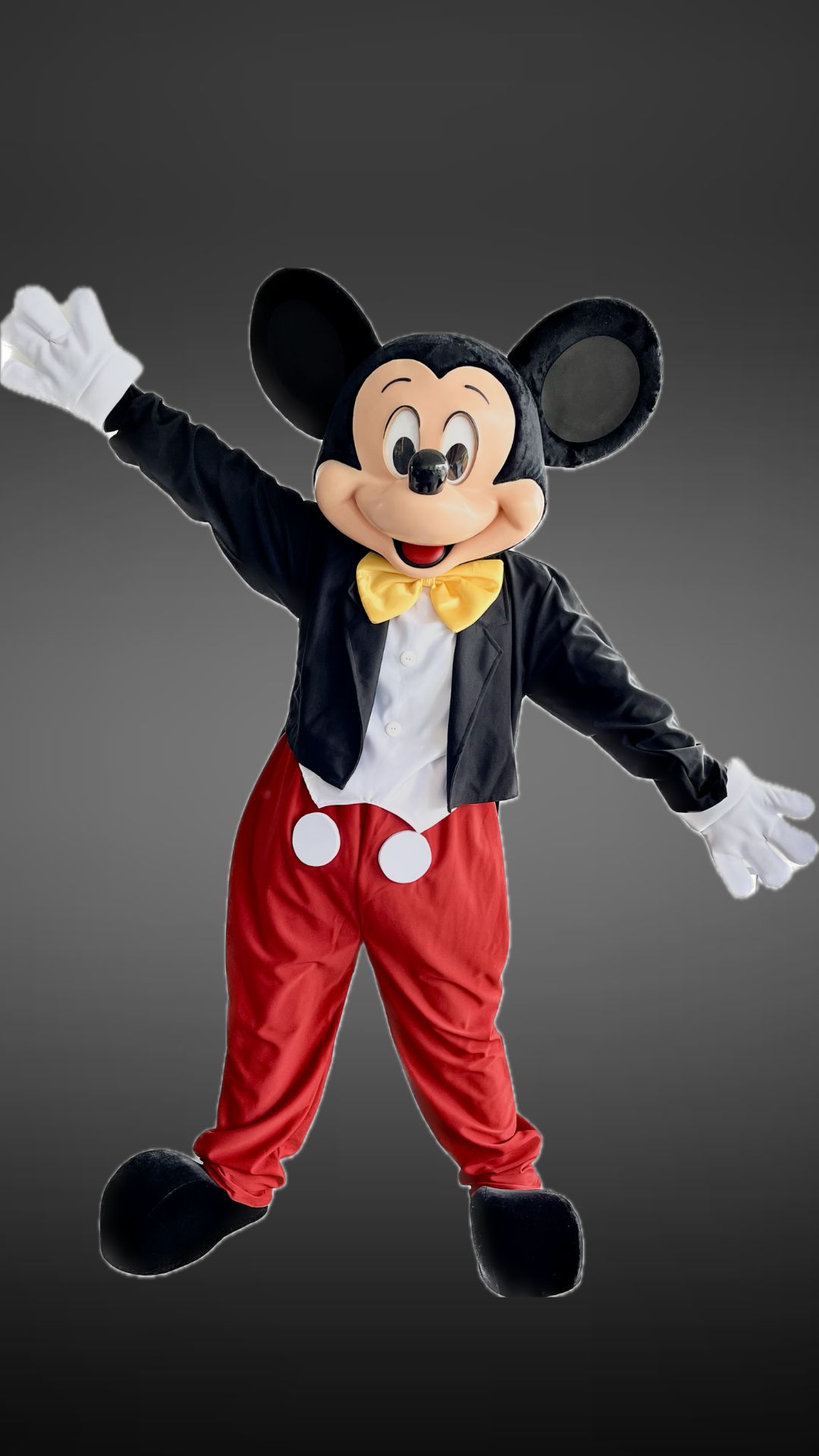 mickey1