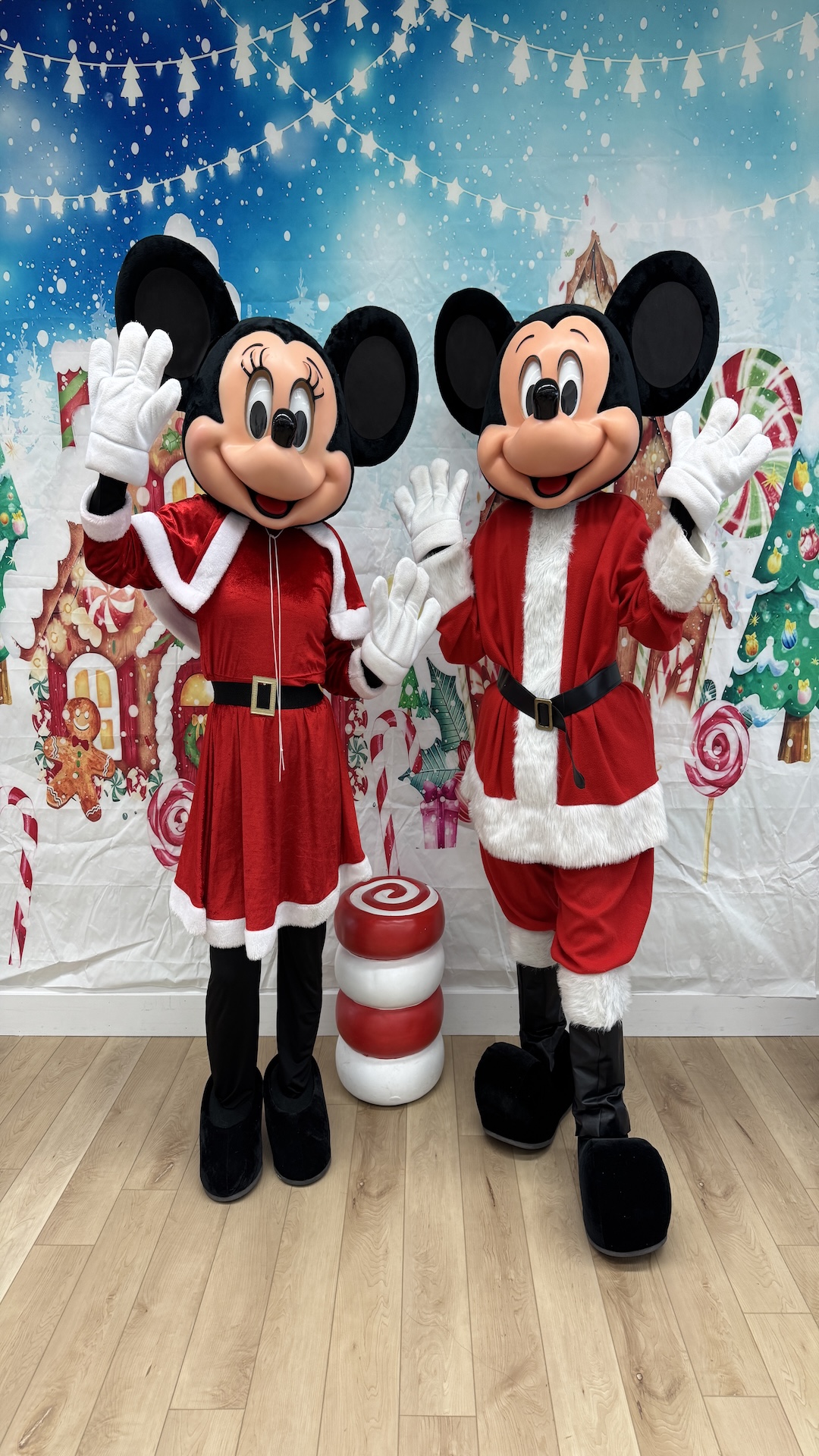 mickeyminnie-christmas